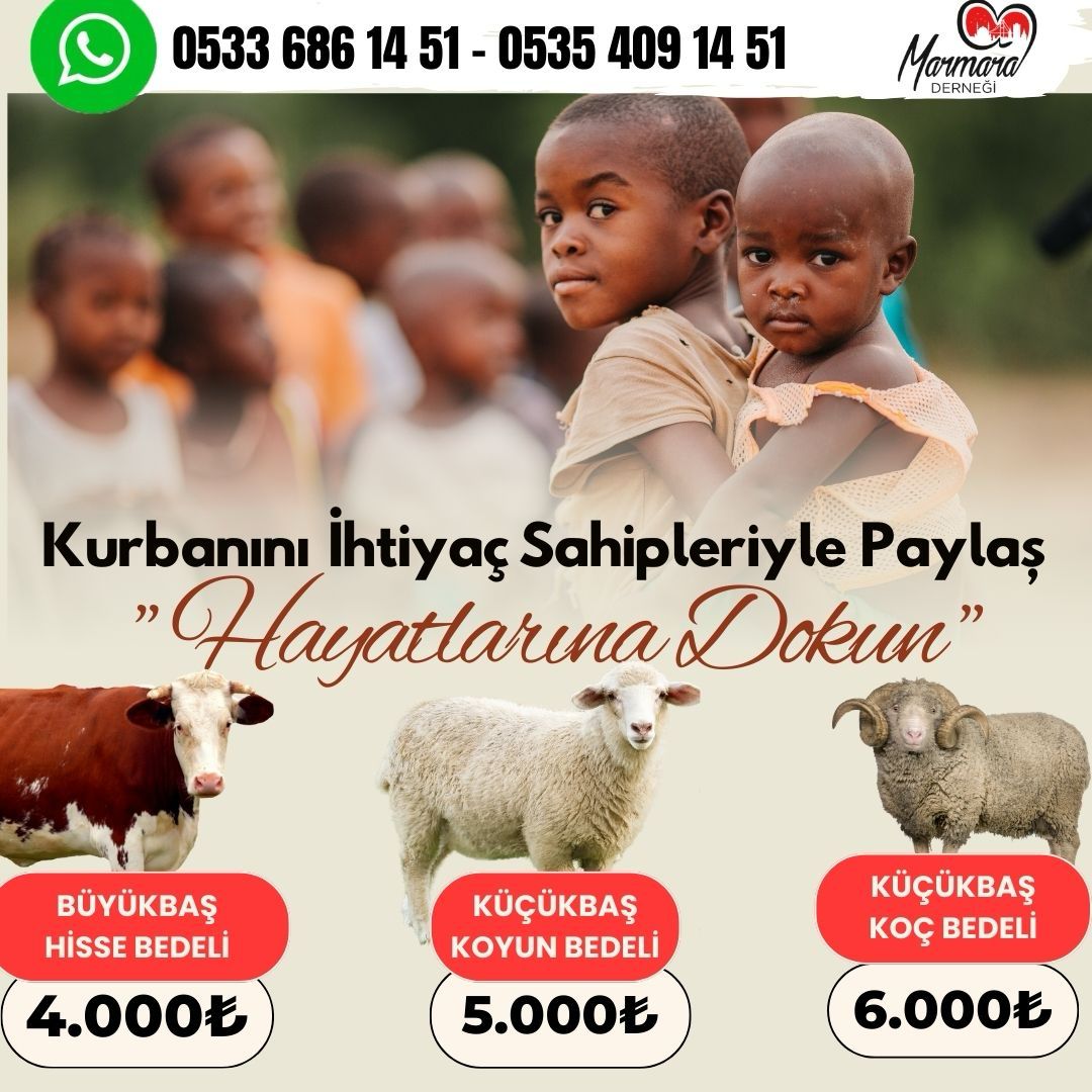 Kurban Bağışı - Marmara Derneği